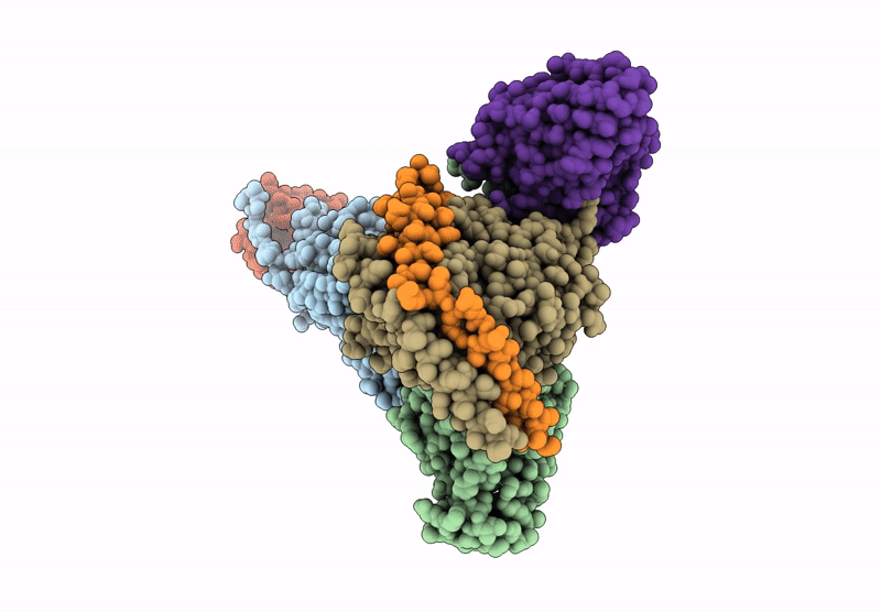 9KX6 image