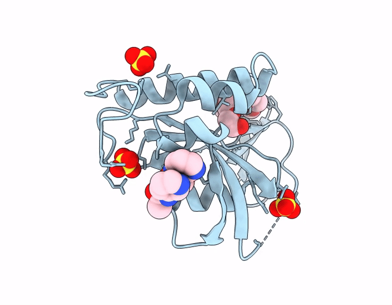 9KXG image