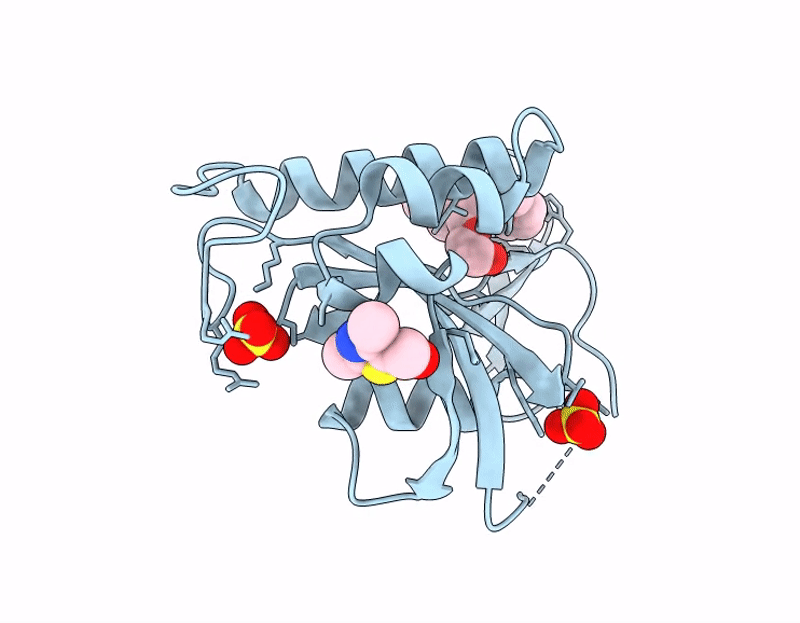 9KXP image