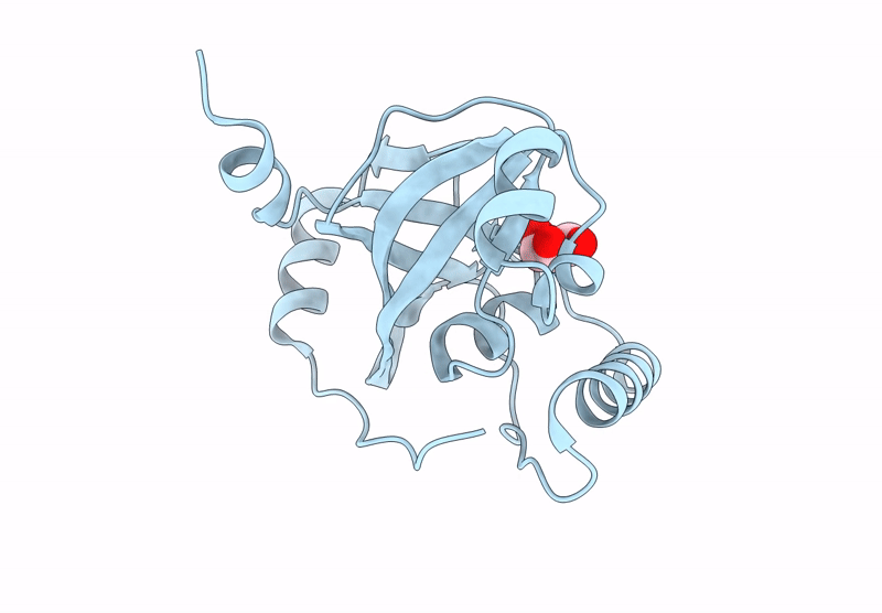 9KYK image