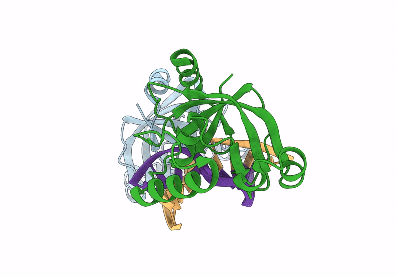 9KYL image