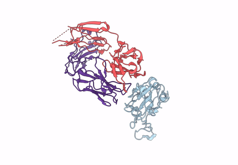 9KZD image