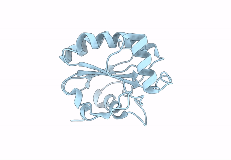 9KZM image