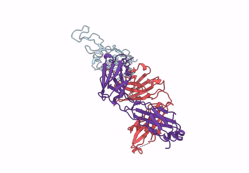 9L07 image