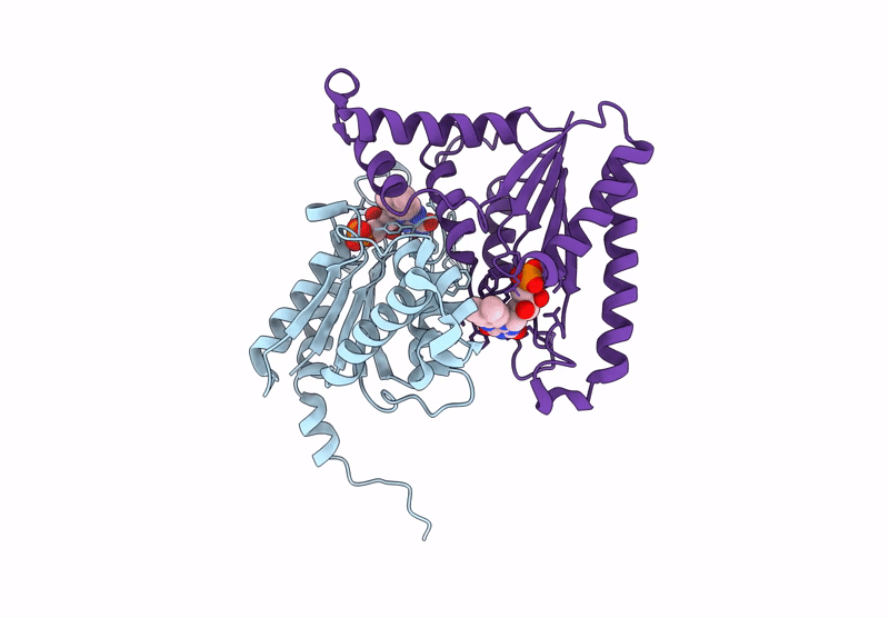 9L10 image