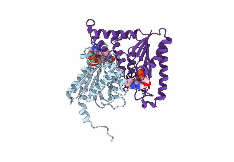 9L11 image