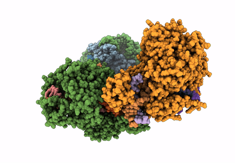 9L12 image