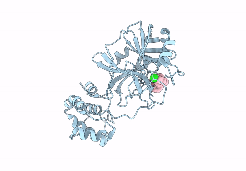 9L13 image