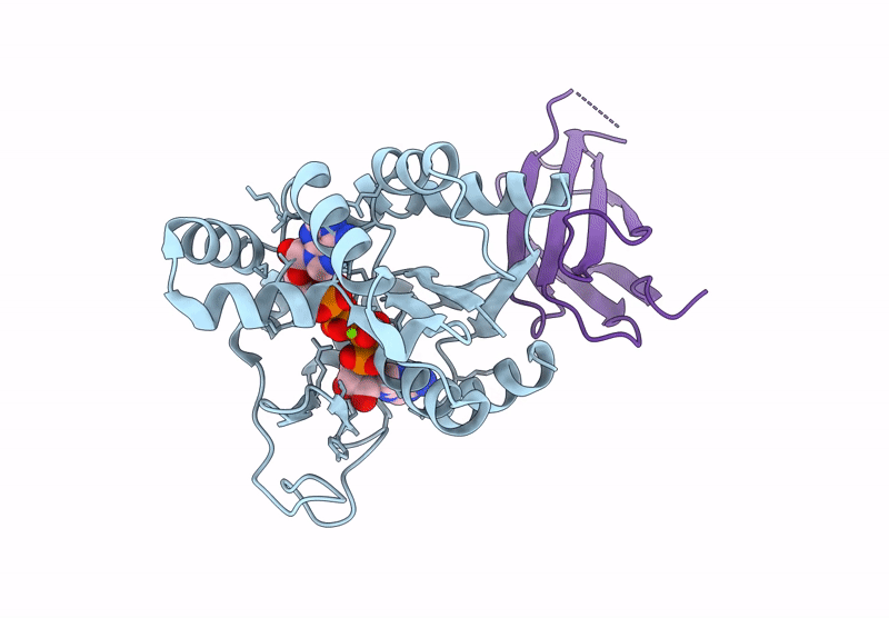 9L14 image