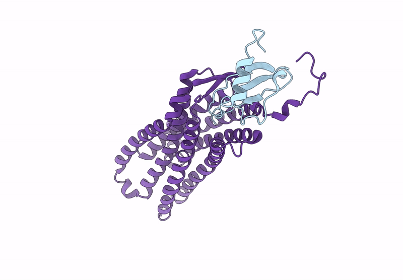 9L16 image