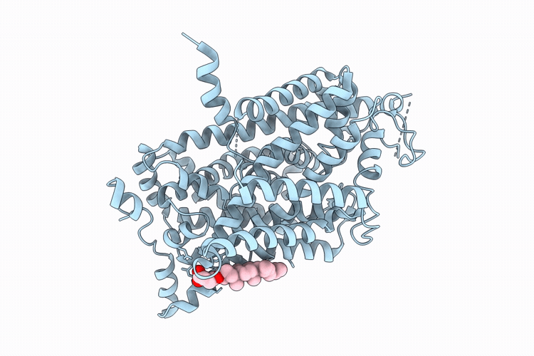 9L19 image