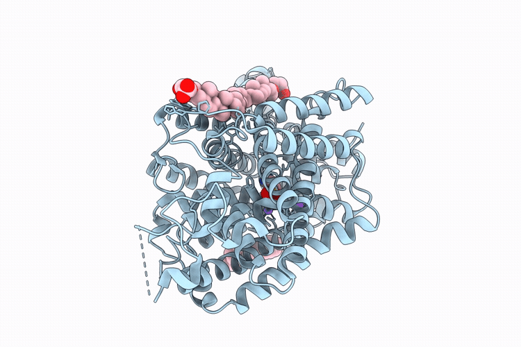 9L1B image