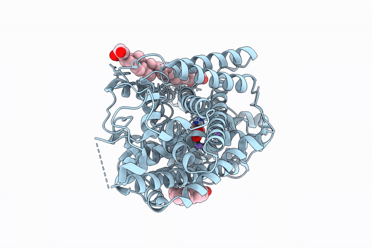 9L1C image