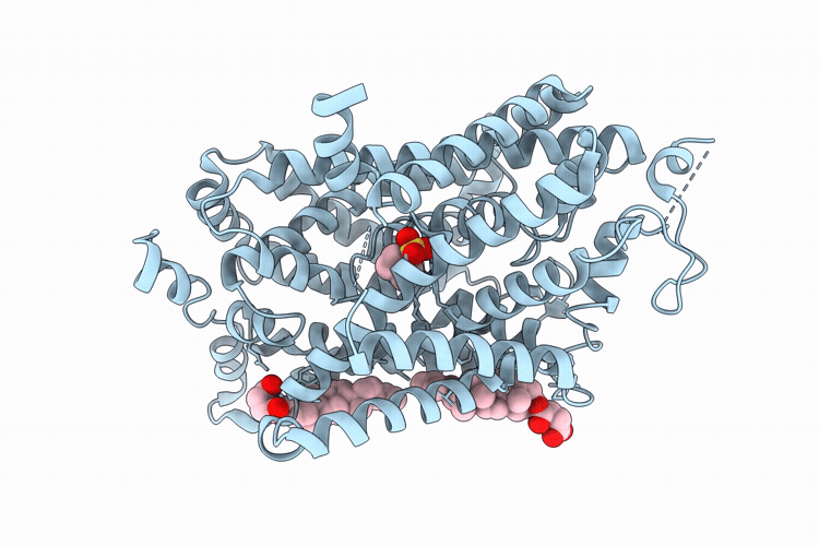 9L1D image