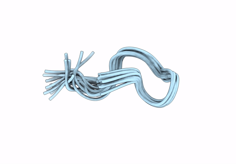 9L1M image