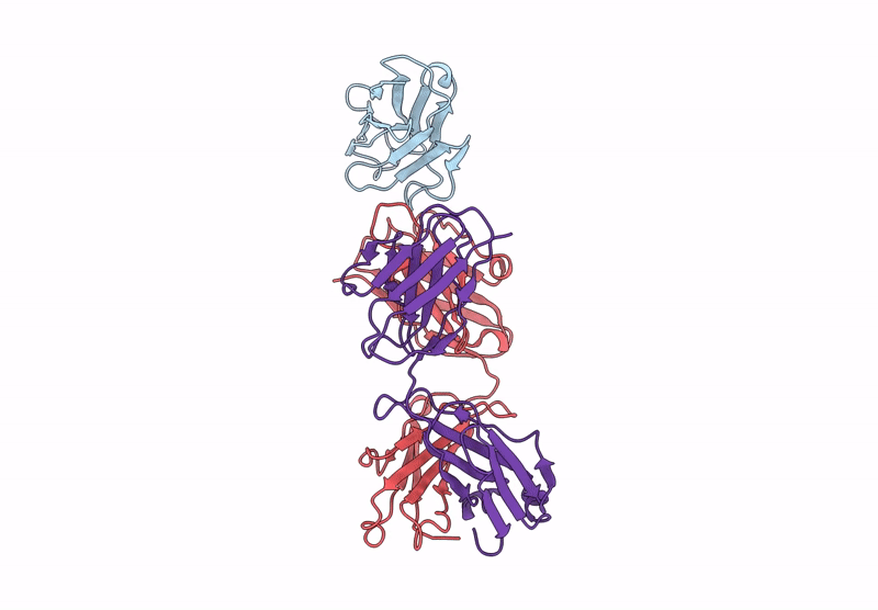 9L1O image