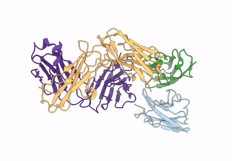 9L1P image