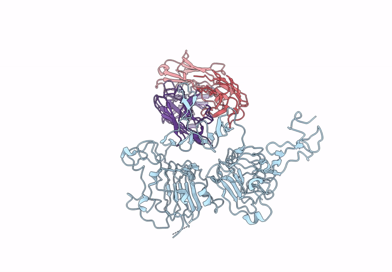 9L1S image