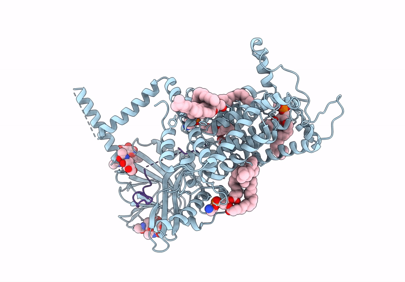 9L20 image