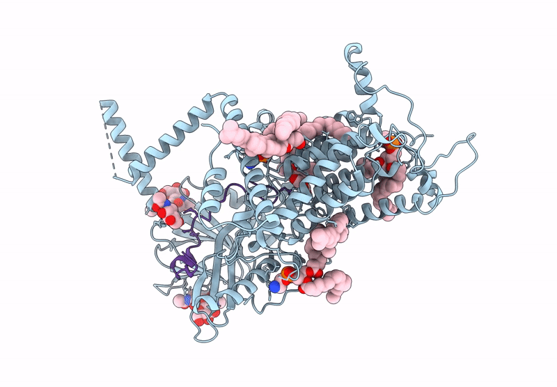 9L21 image