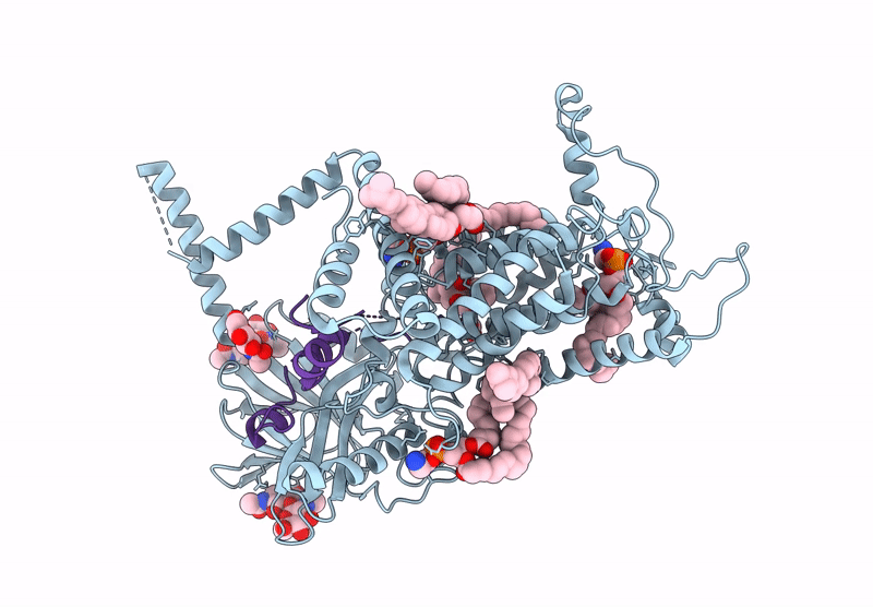 9L23 image