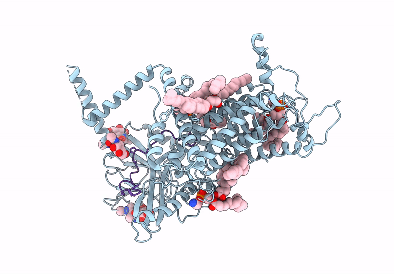 9L24 image
