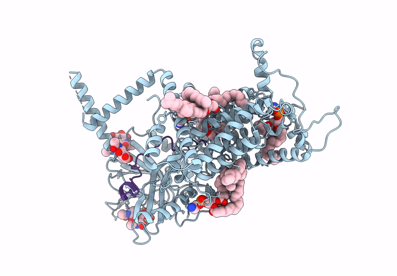 9L25 image