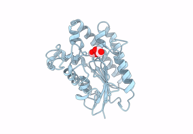 9L27 image