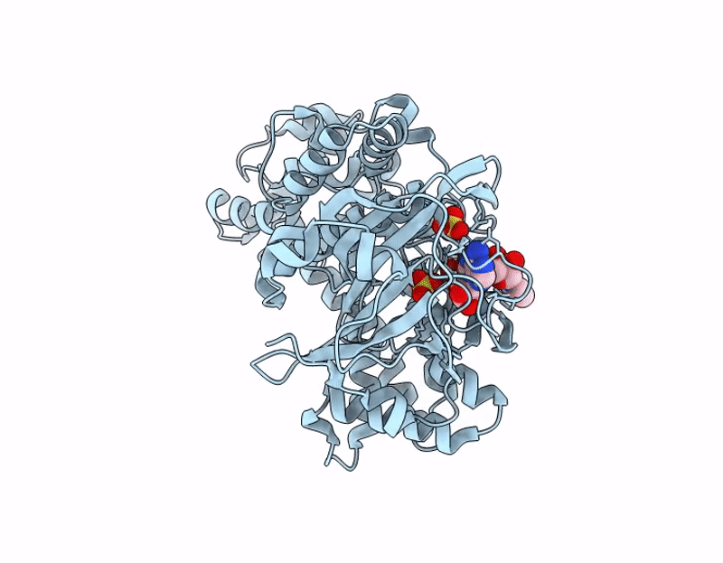 9L29 image