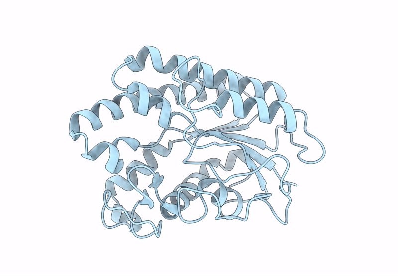 9L2A image