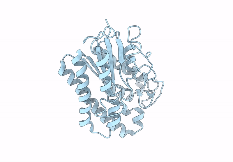 9L2B image