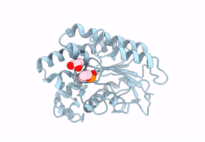 9L2H image