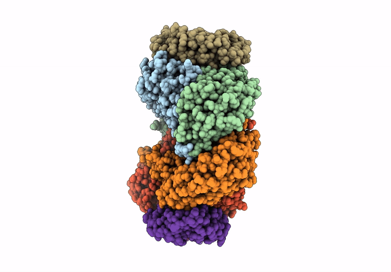 9L2I image