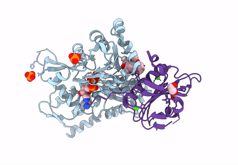 9L2N image
