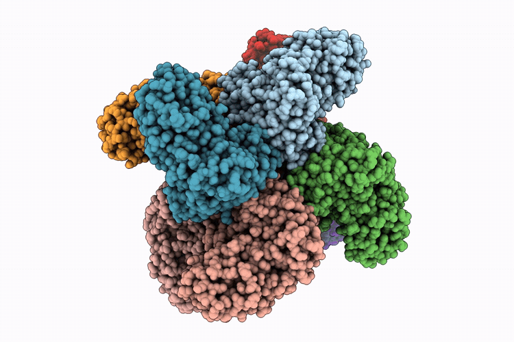 9L2O image