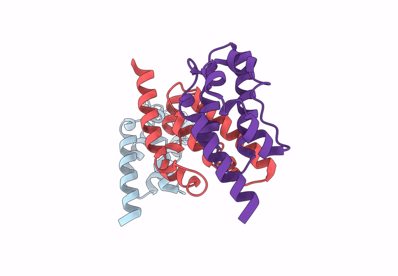 9L2Q image