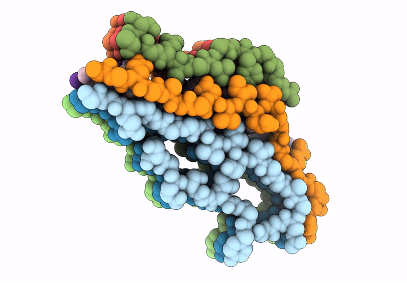 9L2S image