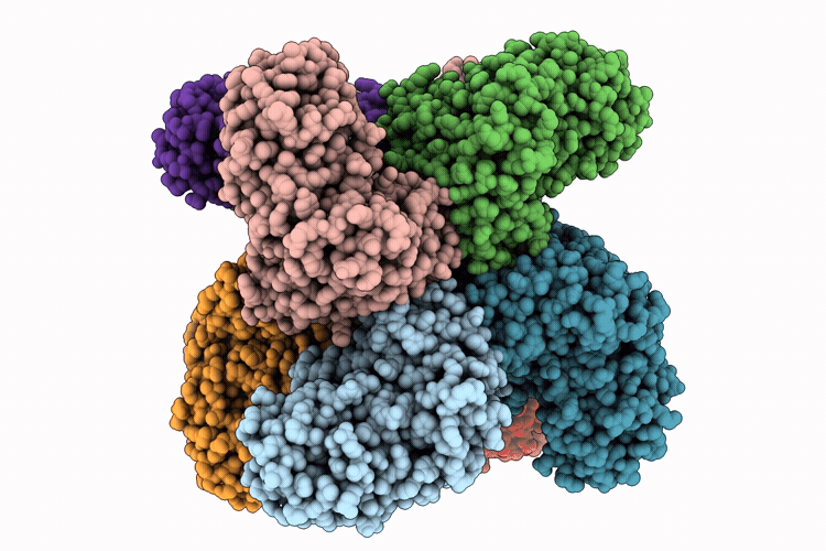 9L2T image