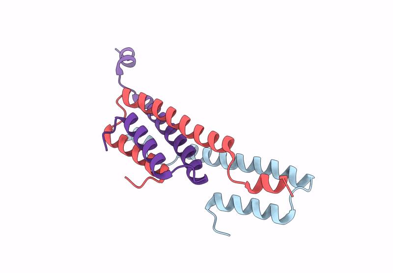 9L2W image