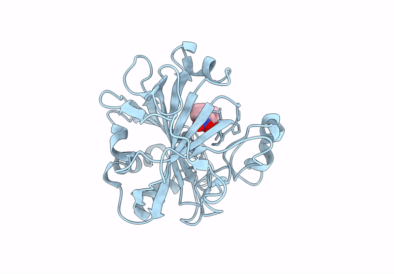 9L32 image