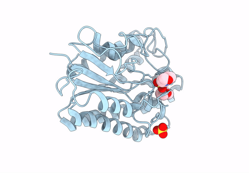 9L34 image