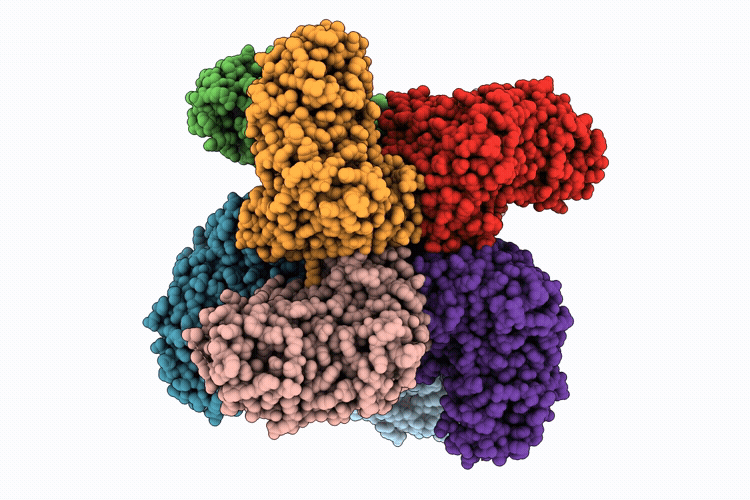 9L36 image