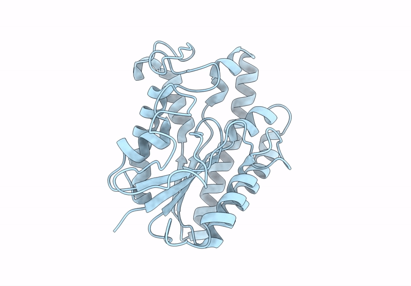 9L3A image