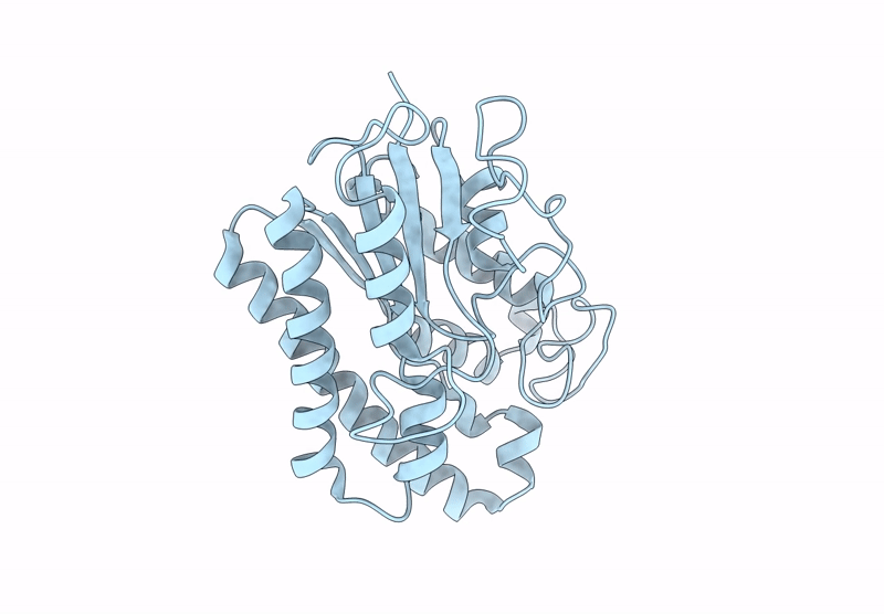 9L3B image