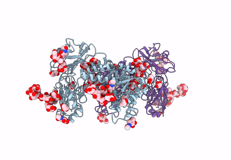 9L3D image