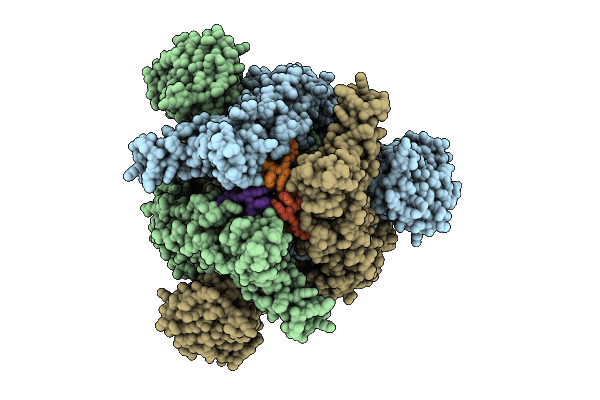 9L3I image
