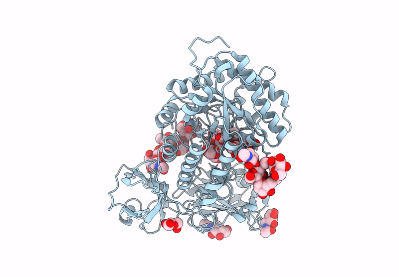 9L3P image