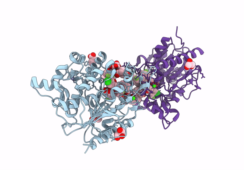 9L3S image