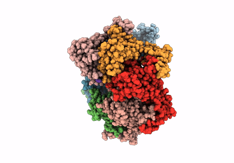 9L3U image