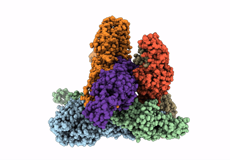 9L3V image